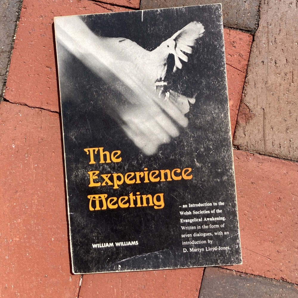 1973 The Experience Meeting Evangelical Press London Spiritual Awakening Arcane